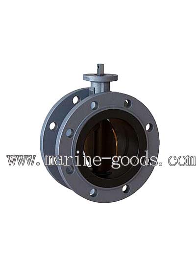 Marine Double Flange Butterfly Valves.jpg