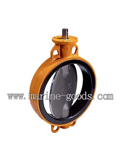 Concentric Butterfly Valve with Vulcanized Rubber Lining.jpg