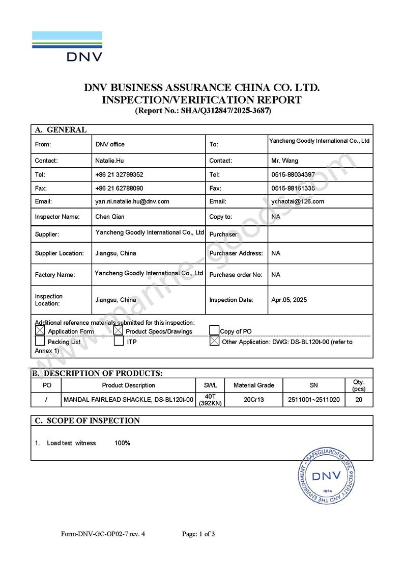 DNV-1(1).jpg