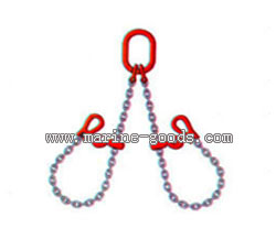 BIDING RIGGING WITH DOUBLE LIMBS.jpg