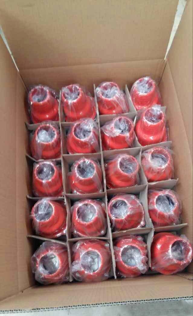 Water Pump Check Valve 6.jpg