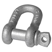 Grade S Dee Shackles.jpg