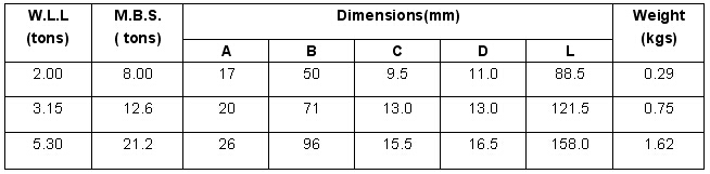 G80 Eye Sling Hook With Latch, New Style 参数.jpg