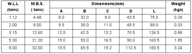 G80 Eye Sling Hook With Latch, New Style 参数.jpg