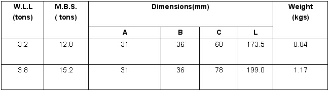 G80 Eye Sling Hook With Latch, New Style 参数.jpg