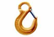 G80 Eye Sling Hook With Latch, New Style.jpg